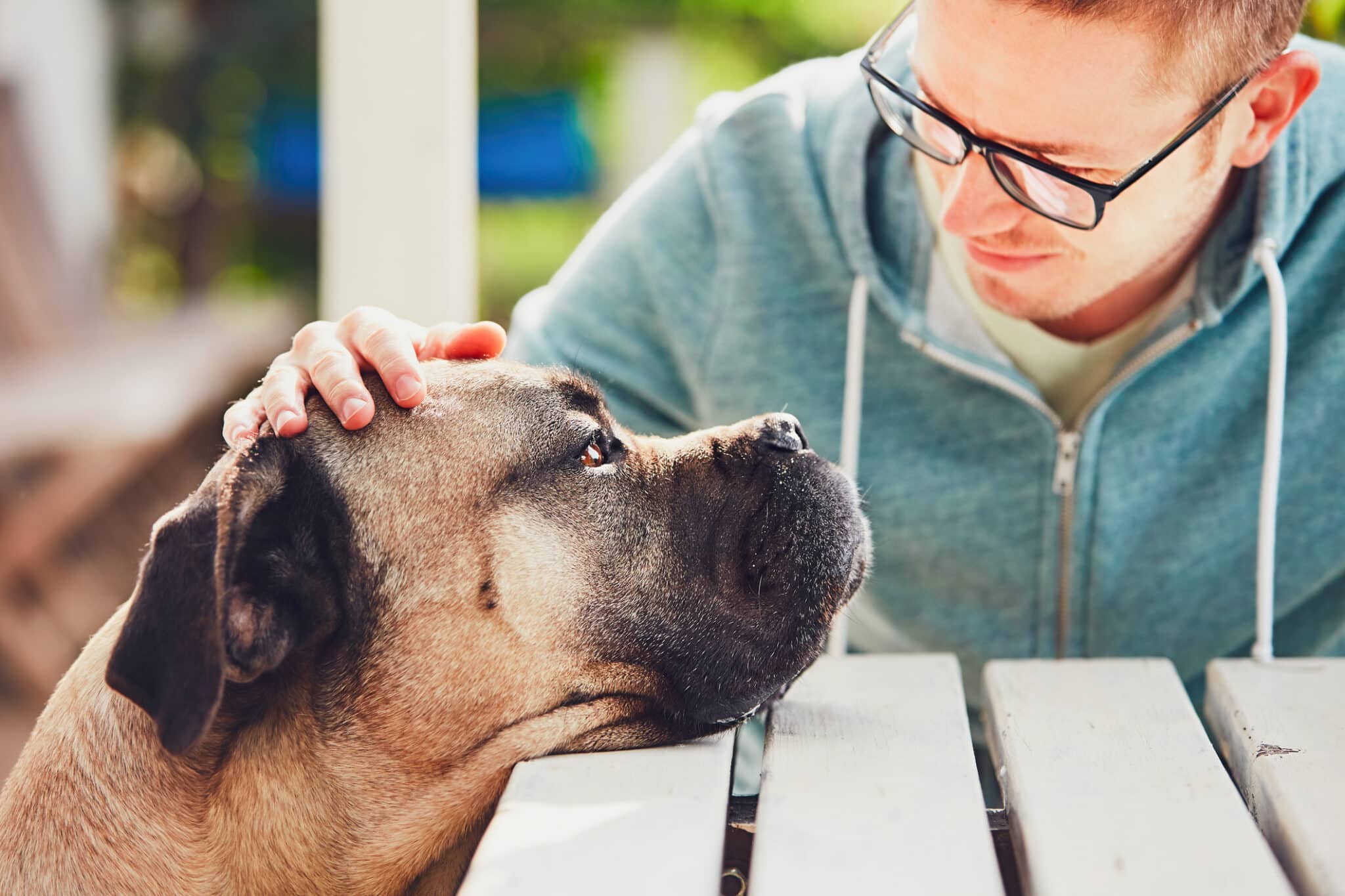 Pet Loss Grief Coach Certification Turning Compassion into a Professional Calling